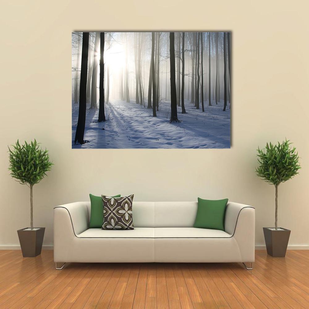 Misty Winter Forest Path Backlit by Sunlight Canvas Wall Art in black, white and blue, single panel hung on a wall