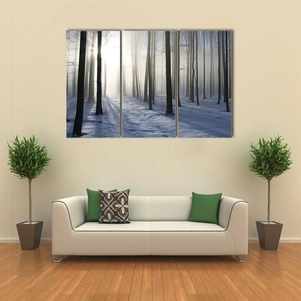 Path In The Misty Winter Forest Backlit By The Morning Sun Canvas Wall Art-4 Pop-Gallery Wrap-50" x 32"-Tiaracle