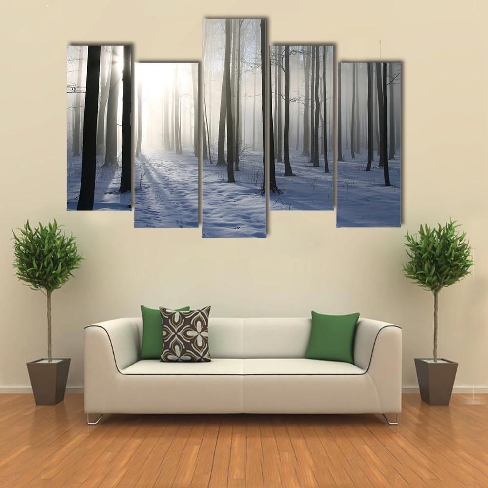 Path In The Misty Winter Forest Backlit By The Morning Sun Canvas Wall Art-5 Pop-Gallery Wrap-47" x 32"-Tiaracle