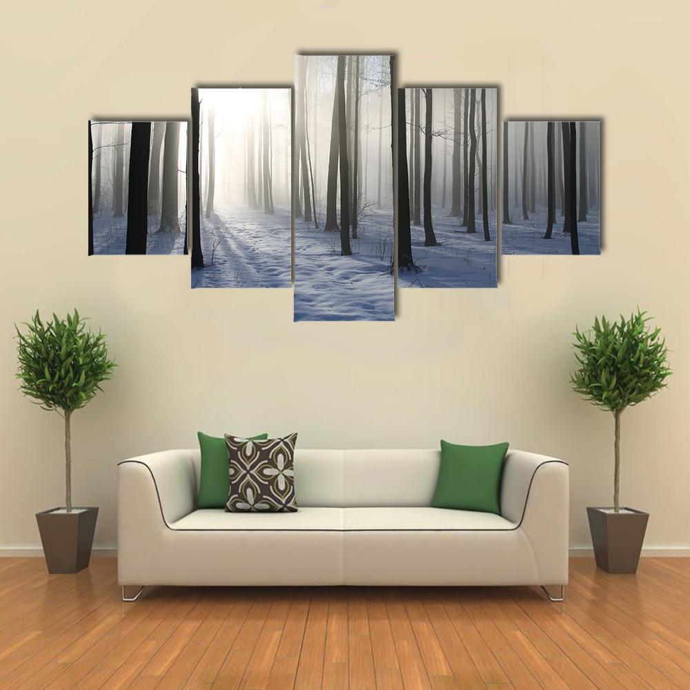 Path In The Misty Winter Forest Backlit By The Morning Sun Canvas Wall Art-5 Star-Gallery Wrap-62" x 32"-Tiaracle