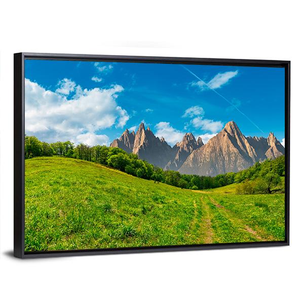 Path Through Forest On Grassy Hillside Canvas Wall Art-3 Horizontal-Gallery Wrap-25" x 16"-Tiaracle