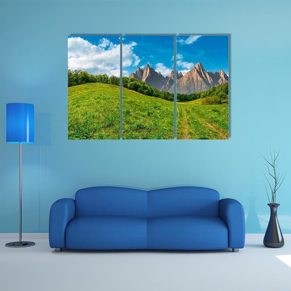 Path Through Forest On Grassy Hillside Canvas Wall Art-3 Horizontal-Gallery Wrap-37" x 24"-Tiaracle