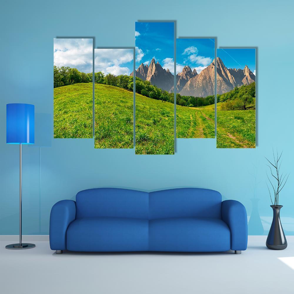 Path Through Forest On Grassy Hillside Canvas Wall Art-5 Pop-Gallery Wrap-47" x 32"-Tiaracle