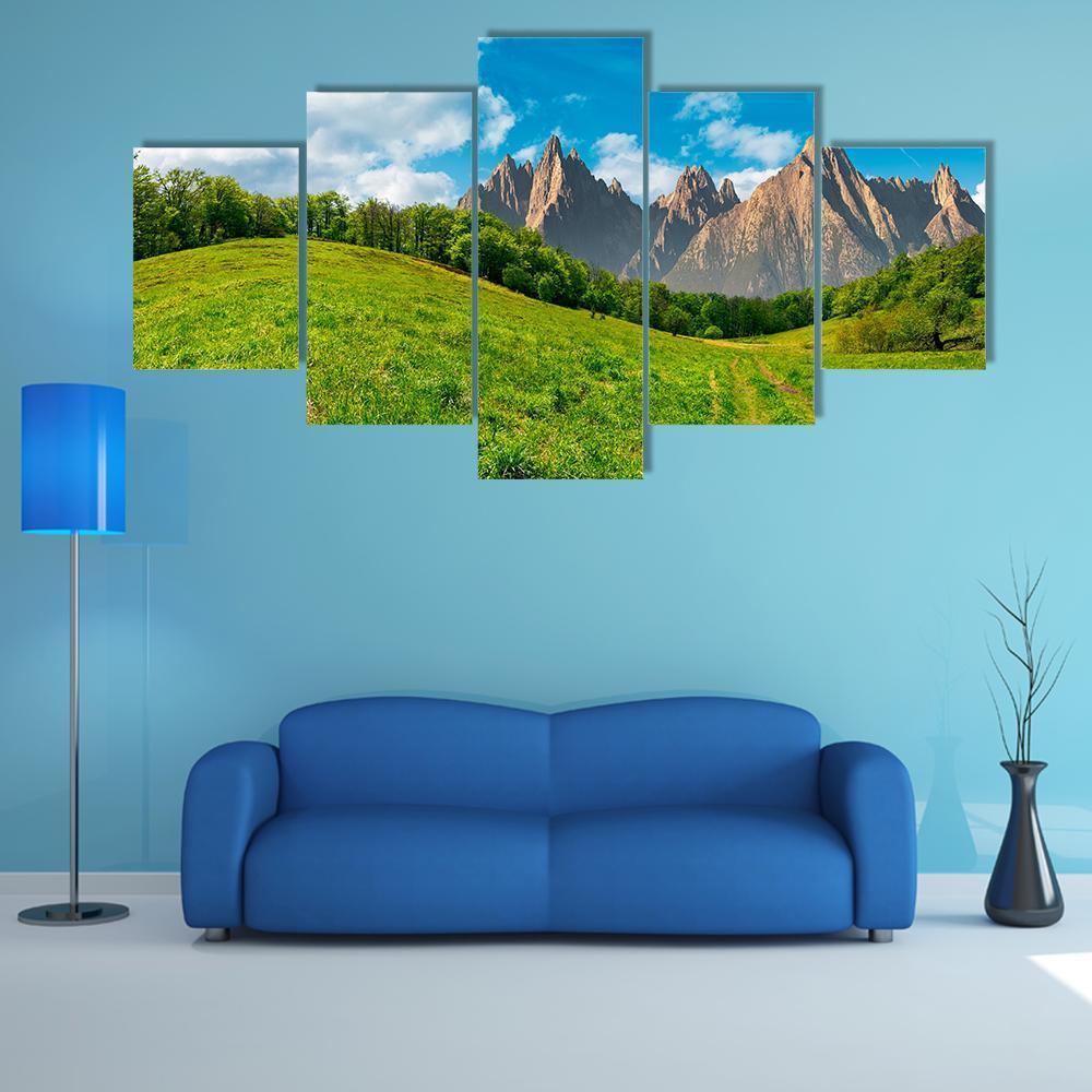 Path Through Forest On Grassy Hillside Canvas Wall Art-5 Star-Gallery Wrap-62" x 32"-Tiaracle