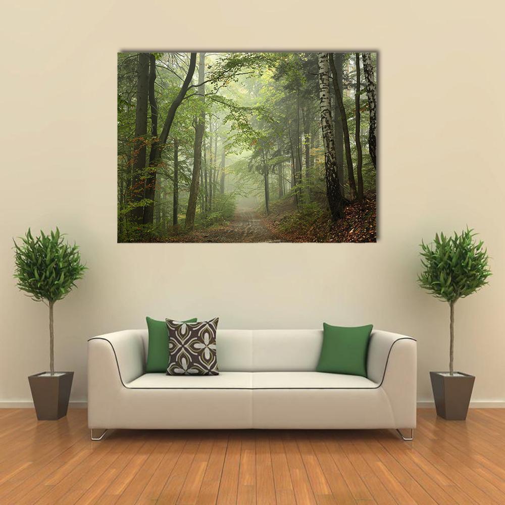 Misty Path Through Beech Forest Canvas Wall Art in brown and green, single panel hung on a wall