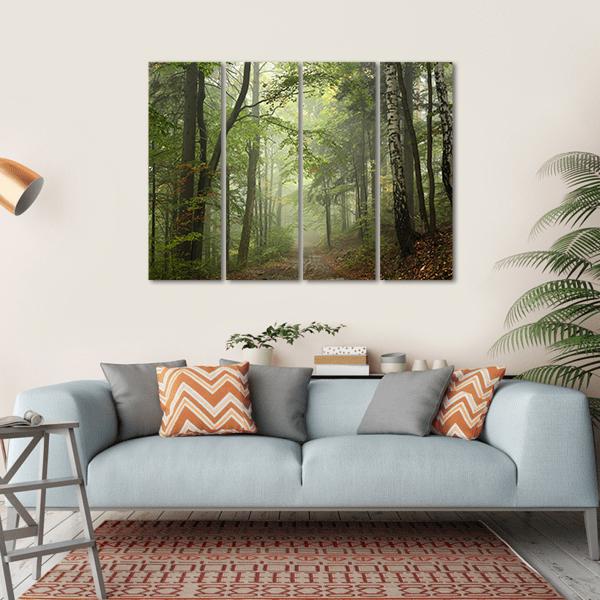 Path Through The Beech Forest In Foggy Weather Canvas Wall Art-1 Piece-Gallery Wrap-36" x 24"-Tiaracle