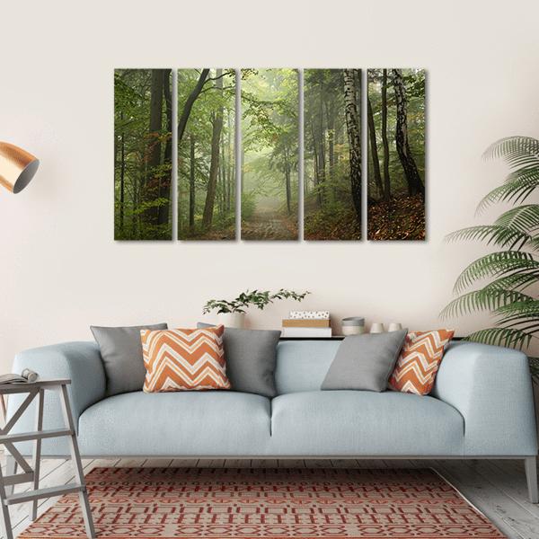 Path Through The Beech Forest In Foggy Weather Canvas Wall Art-5 Horizontal-Gallery Wrap-22" x 12"-Tiaracle