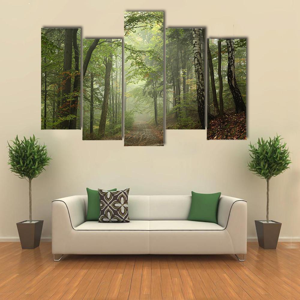 Path Through The Beech Forest In Foggy Weather Canvas Wall Art-5 Pop-Gallery Wrap-47" x 32"-Tiaracle