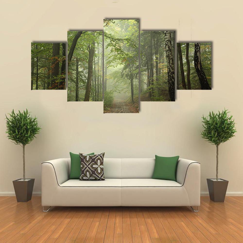 Path Through The Beech Forest In Foggy Weather Canvas Wall Art-5 Pop-Gallery Wrap-47" x 32"-Tiaracle