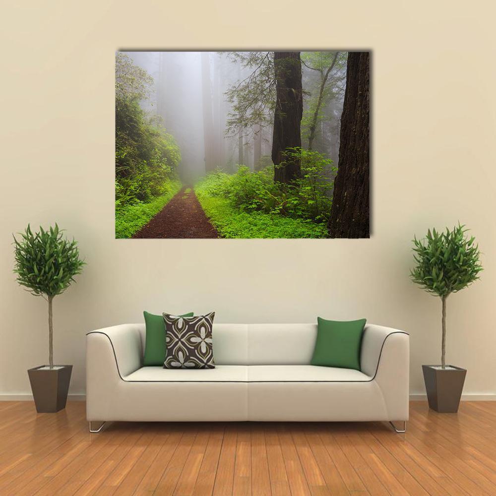 Path Through the Redwoods Canvas Wall Art in gray, brown and green, single panel hung on a wall