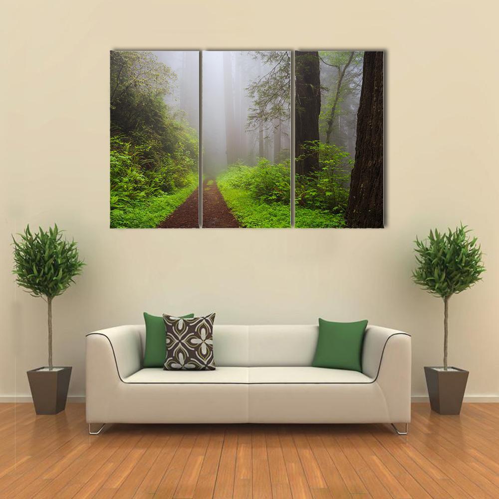 Path Through The Redwoods Forest Canvas Wall Art-4 Pop-Gallery Wrap-34" x 20"-Tiaracle