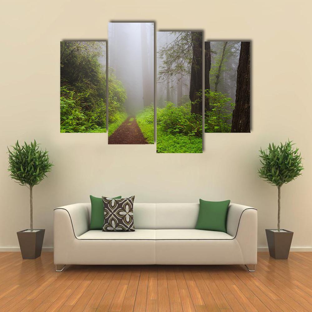Path Through the Redwoods Forest Canvas Wall Art-4 Pop-Gallery Wrap-34&quot; x 20&quot;-Tiaracle