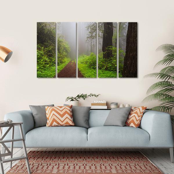 Path Through the Redwoods Forest Canvas Wall Art-5 Horizontal-Gallery Wrap-22&quot; x 12&quot;-Tiaracle