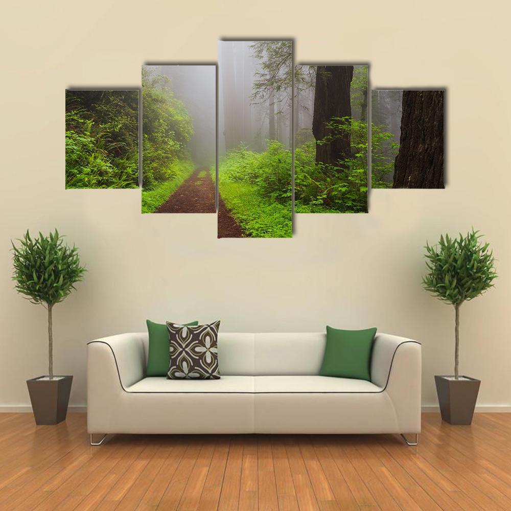 Path Through The Redwoods Forest Canvas Wall Art-5 Star-Gallery Wrap-42" x 21"-Tiaracle