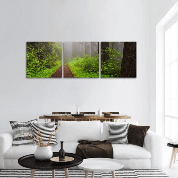 Path Through the Redwoods Forest Panoramic Canvas Wall Art-3 Piece-25&quot; x 08&quot;-Tiaracle