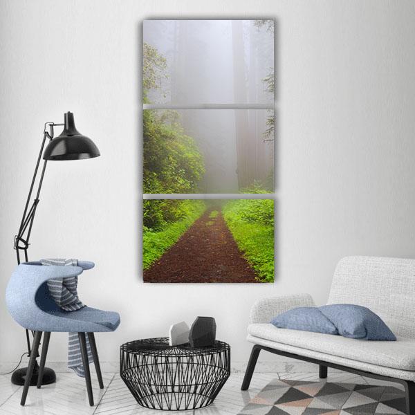 Path Through the Redwoods Forest Vertical Canvas Wall Art-3 Vertical-Gallery Wrap-12" x 25"-Tiaracle