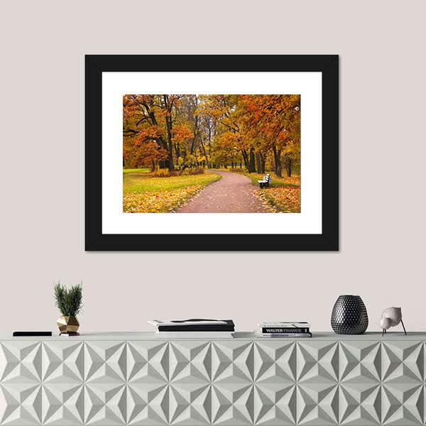 Pathway In Autumn Forest Canvas Wall Art-1 Piece-Framed Print-20" x 16"-Tiaracle