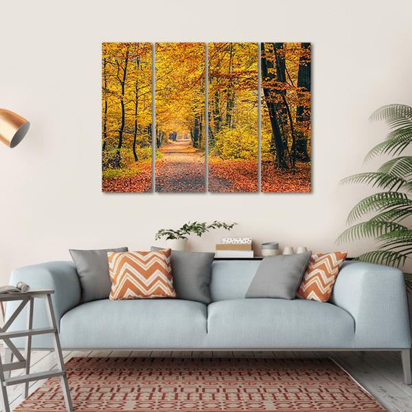 Pathway In The Autumn Forest Canvas Wall Art-1 Piece-Gallery Wrap-36" x 24"-Tiaracle