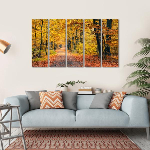 Pathway In The Autumn Forest Canvas Wall Art-5 Horizontal-Gallery Wrap-22&quot; x 12&quot;-Tiaracle