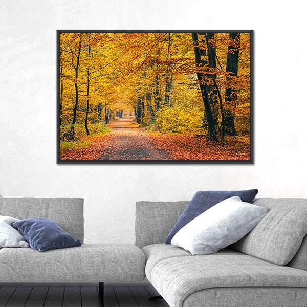 Pathway In The Autumn Forest Canvas Wall Art-3 Horizontal-Gallery Wrap-25" x 16"-Tiaracle