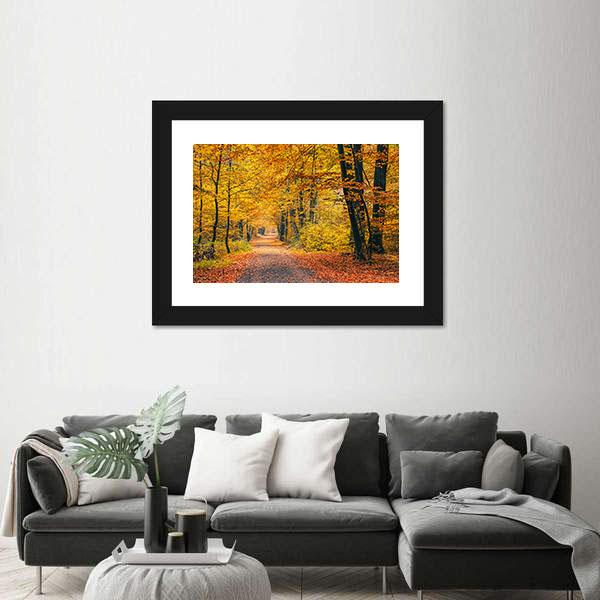 Pathway In The Autumn Forest Canvas Wall Art-3 Horizontal-Gallery Wrap-25" x 16"-Tiaracle