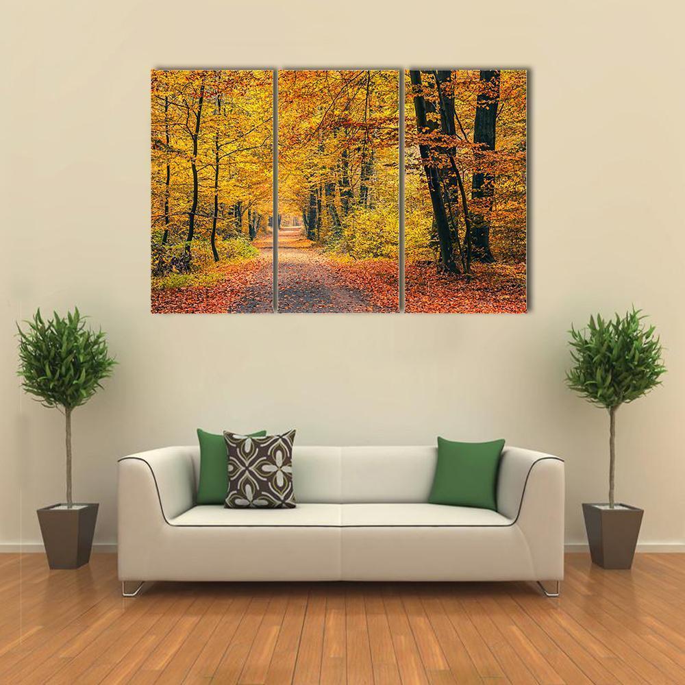 Pathway In The Autumn Forest Canvas Wall Art-4 Pop-Gallery Wrap-50" x 32"-Tiaracle