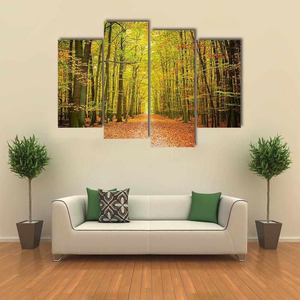 Pathway In The Autumn Forest Canvas Wall Art-4 Pop-Gallery Wrap-50&quot; x 32&quot;-Tiaracle