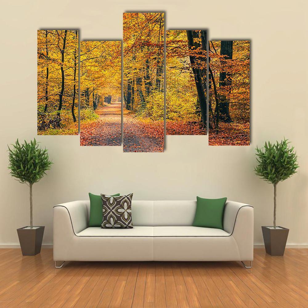 Pathway In The Autumn Forest Canvas Wall Art-5 Pop-Gallery Wrap-47" x 32"-Tiaracle