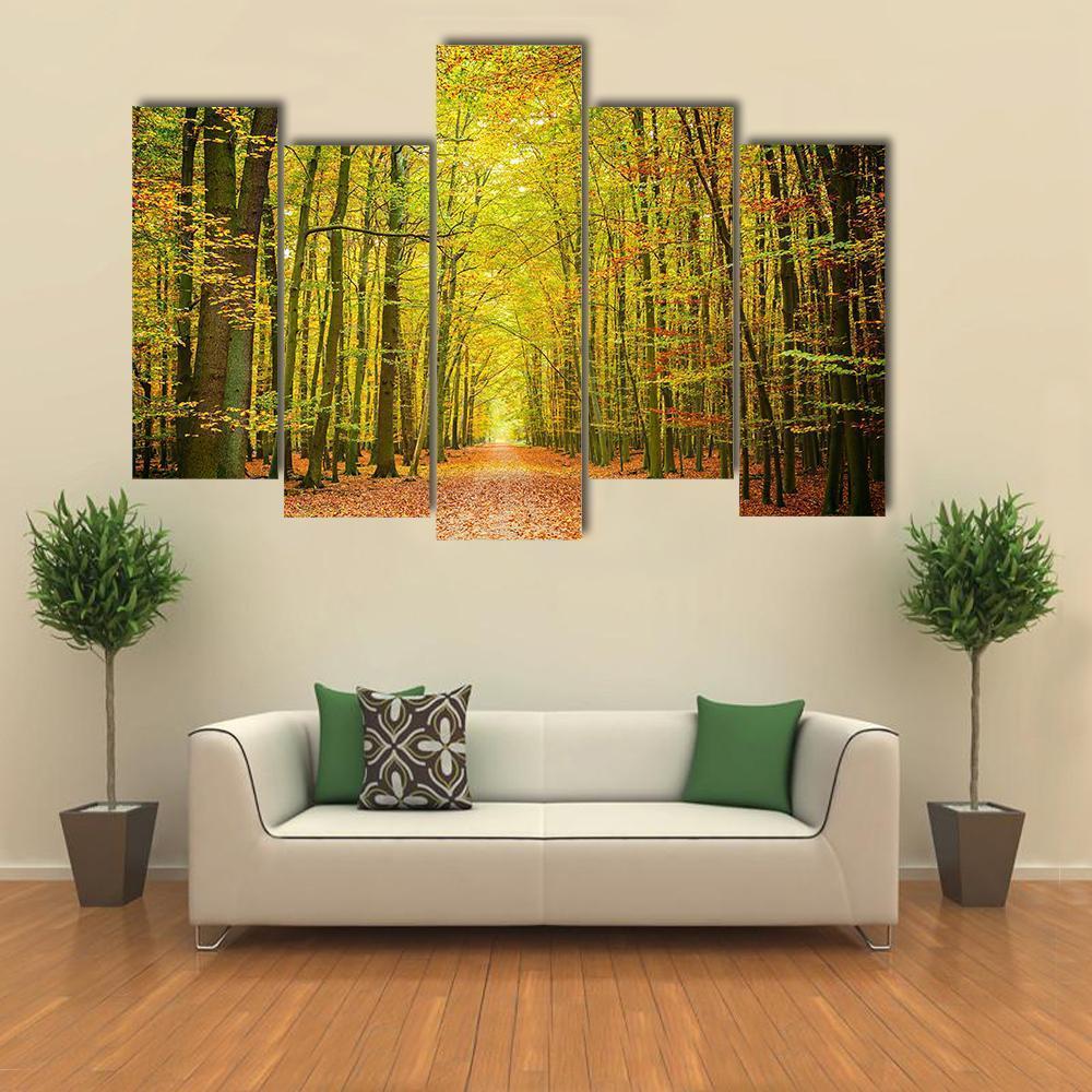 Pathway In The Autumn Forest Canvas Wall Art-5 Pop-Gallery Wrap-47&quot; x 32&quot;-Tiaracle