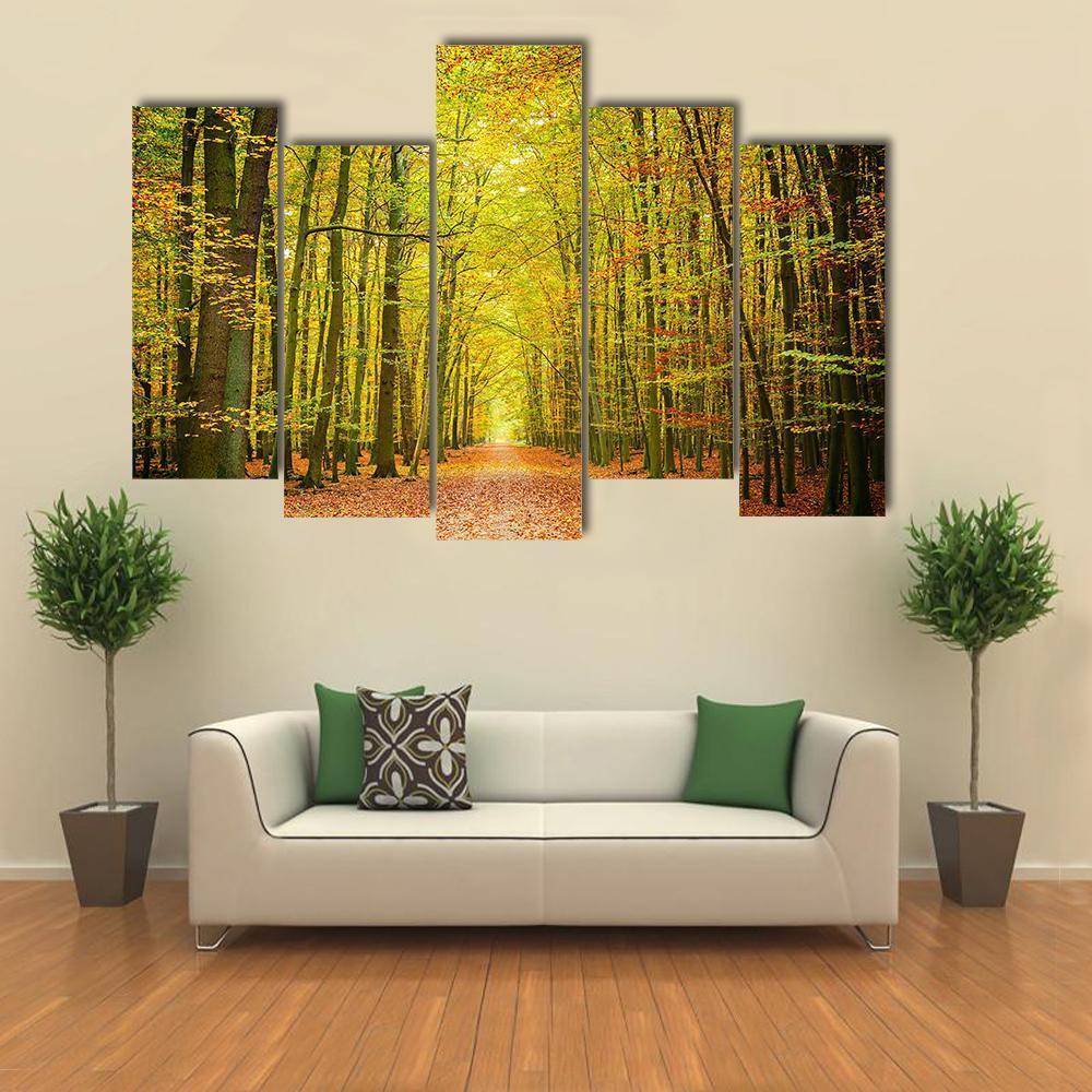 Pathway In The Autumn Forest Canvas Wall Art-5 Pop-Gallery Wrap-47" x 32"-Tiaracle