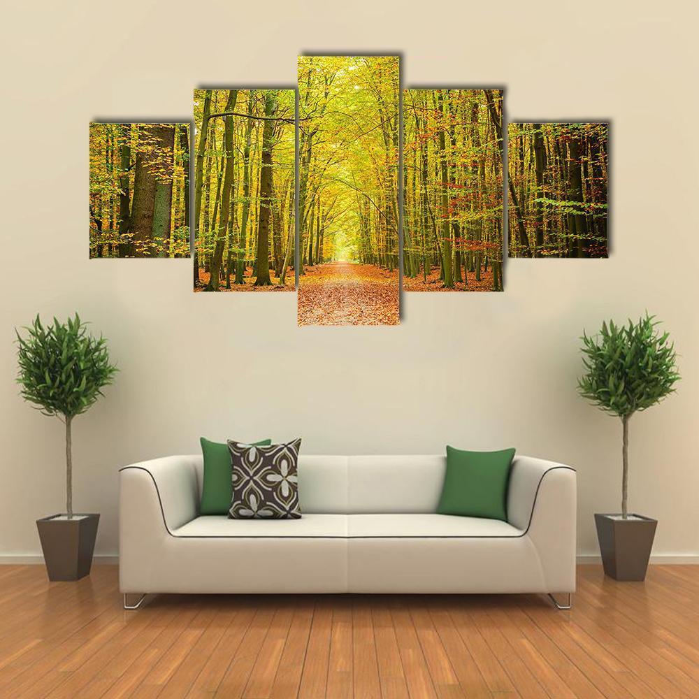 Pathway In The Autumn Forest Canvas Wall Art-5 Star-Gallery Wrap-62&quot; x 32&quot;-Tiaracle