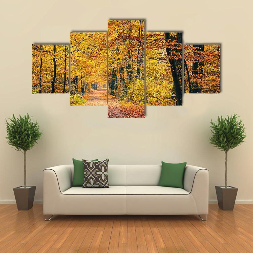 Pathway In The Autumn Forest Canvas Wall Art-5 Star-Gallery Wrap-62" x 32"-Tiaracle