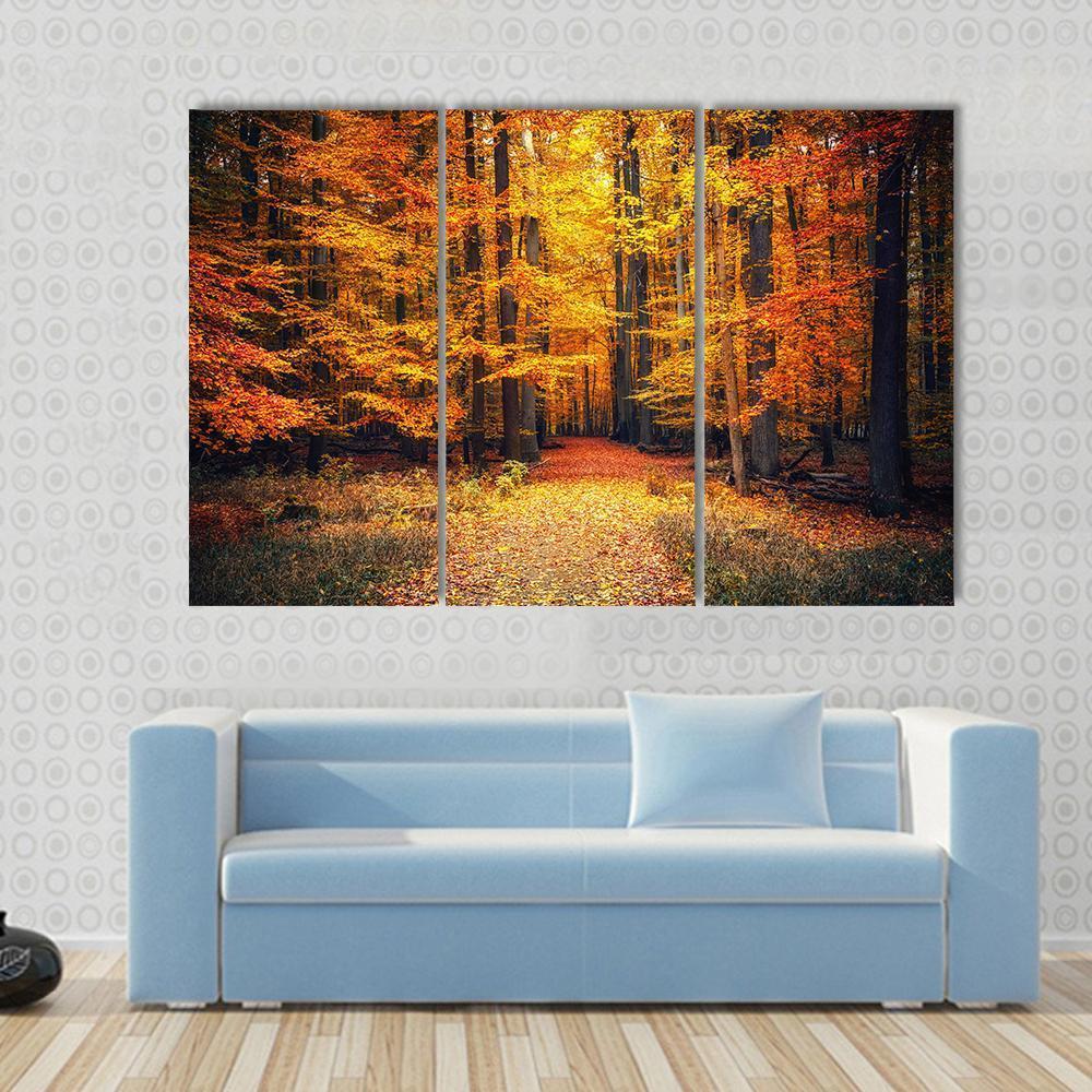 Pathway In The Autumn Park Canvas Wall Art-3 Horizontal-Gallery Wrap-37" x 24"-Tiaracle