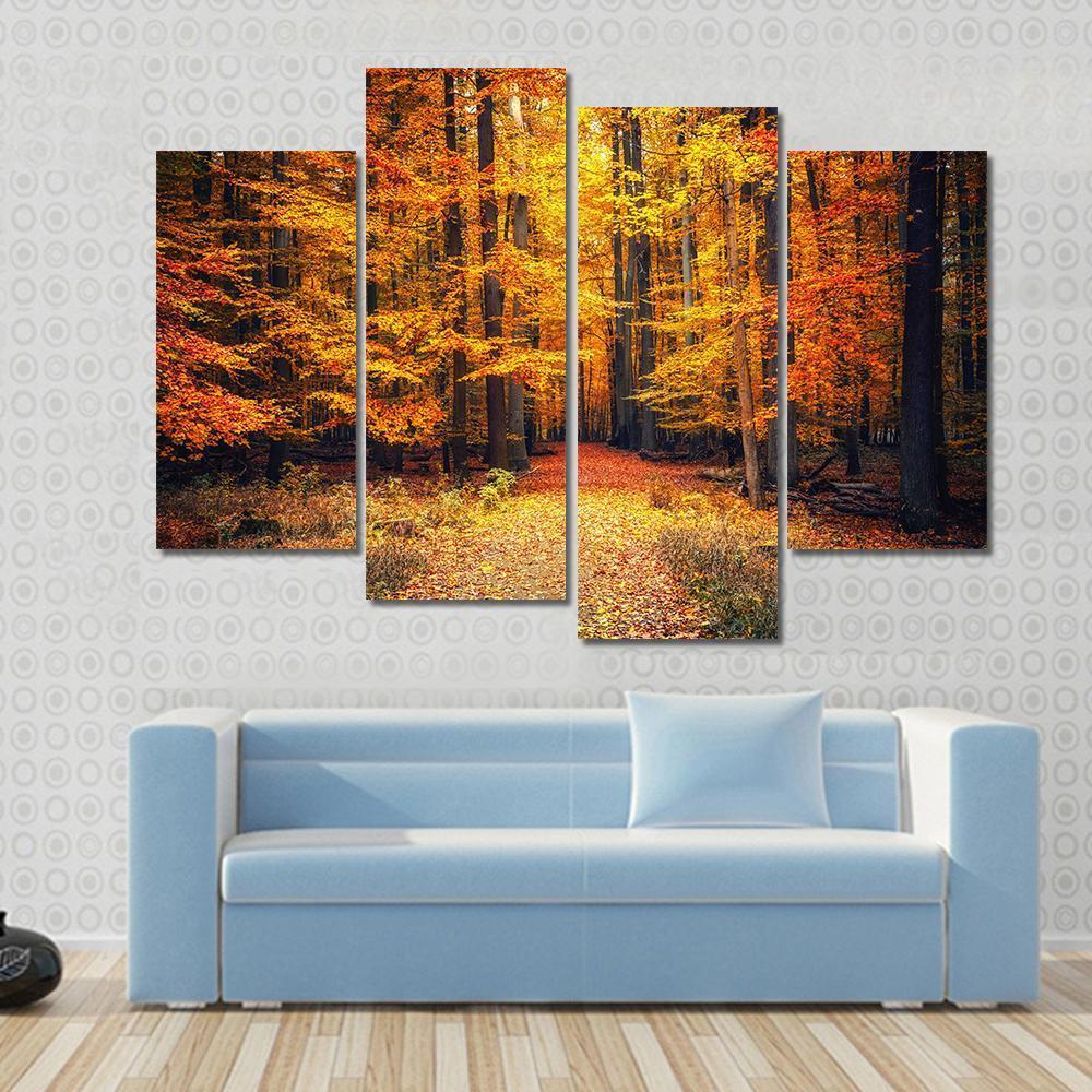 Pathway In The Autumn Park Canvas Wall Art-4 Pop-Gallery Wrap-50" x 32"-Tiaracle