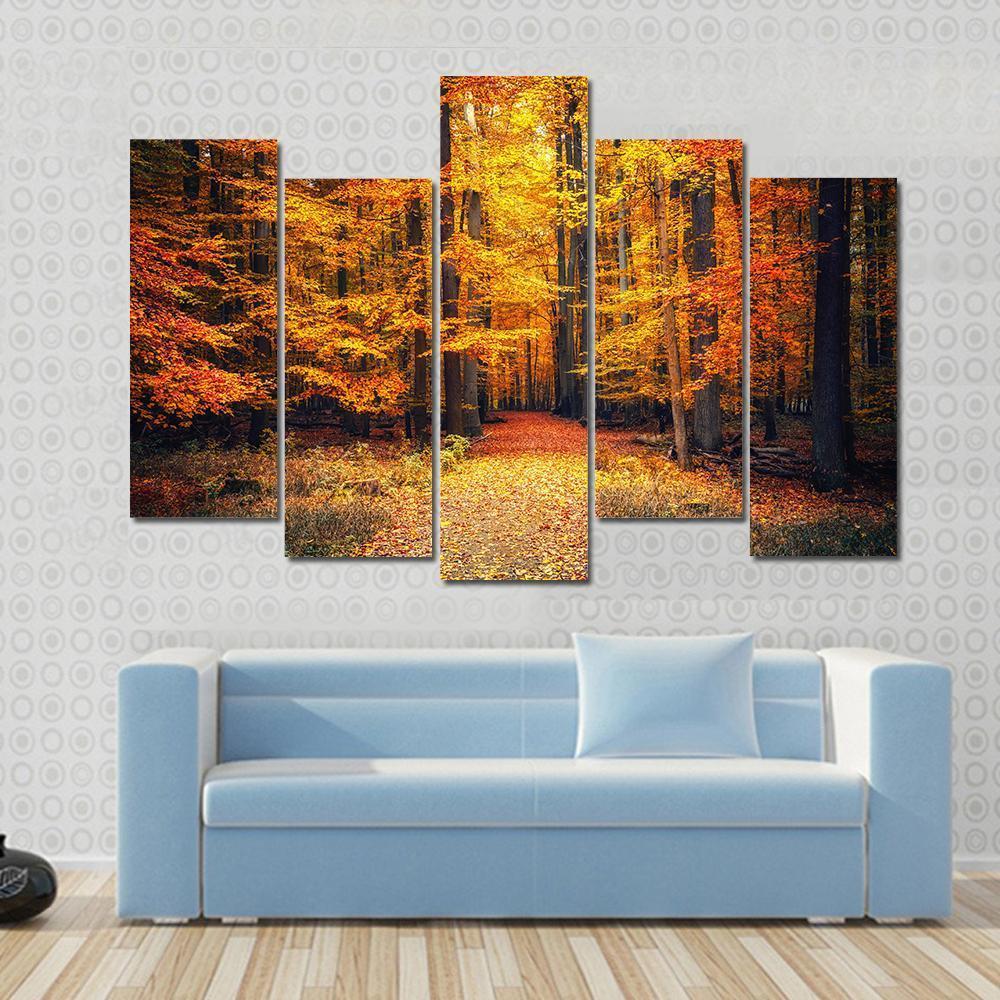 Pathway In The Autumn Park Canvas Wall Art-5 Pop-Gallery Wrap-47" x 32"-Tiaracle