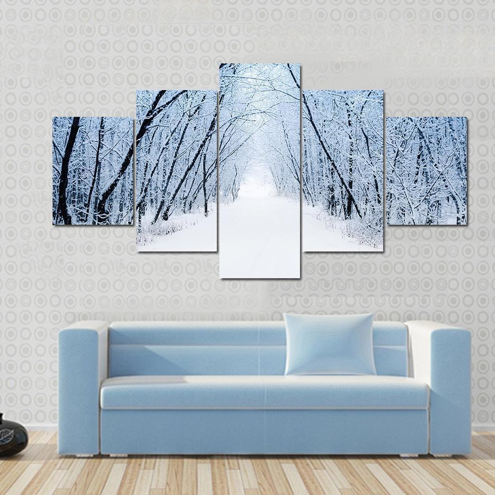 Pathway In Winter Canvas Wall Art-4 Pop-Gallery Wrap-50" x 32"-Tiaracle