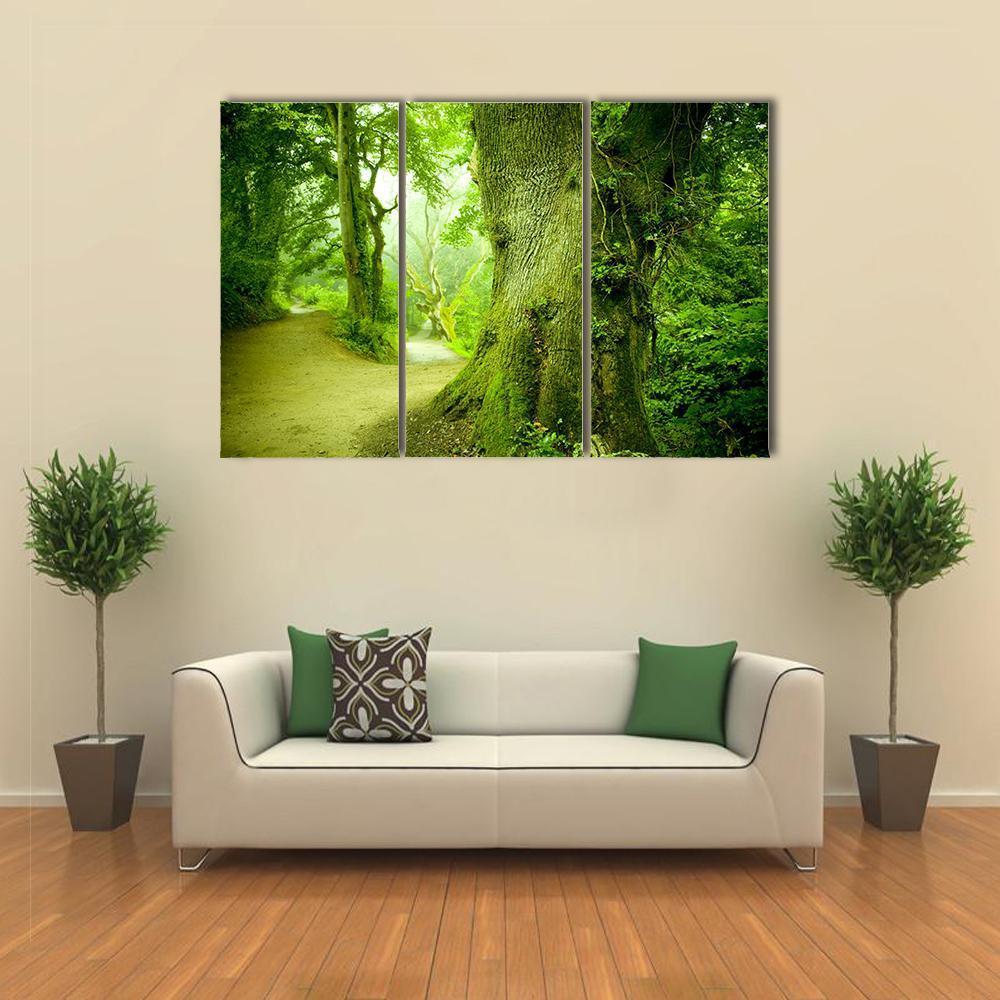 Pathway Leading Into A Forest Canvas Wall Art-3 Horizontal-Gallery Wrap-37" x 24"-Tiaracle