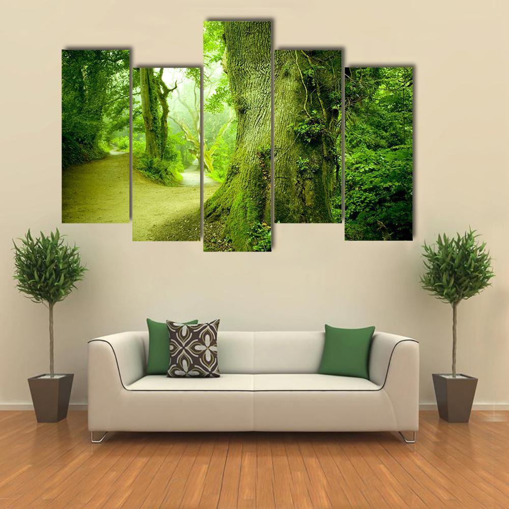 Pathway Leading Into A Forest Canvas Wall Art-5 Pop-Gallery Wrap-47" x 32"-Tiaracle
