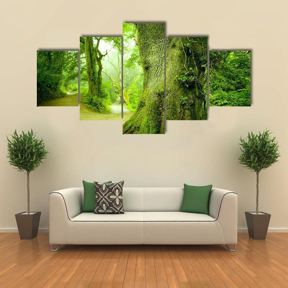 Pathway Leading Into A Forest Canvas Wall Art-5 Star-Gallery Wrap-62" x 32"-Tiaracle