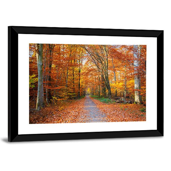 Pathway Through The Autumn Forest Canvas Wall Art-3 Horizontal-Gallery Wrap-25&quot; x 16&quot;-Tiaracle