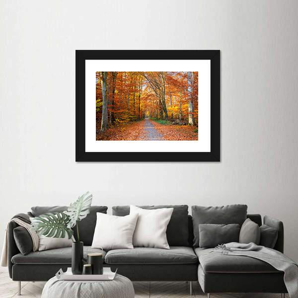 Pathway Through The Autumn Forest Canvas Wall Art-3 Horizontal-Gallery Wrap-25" x 16"-Tiaracle