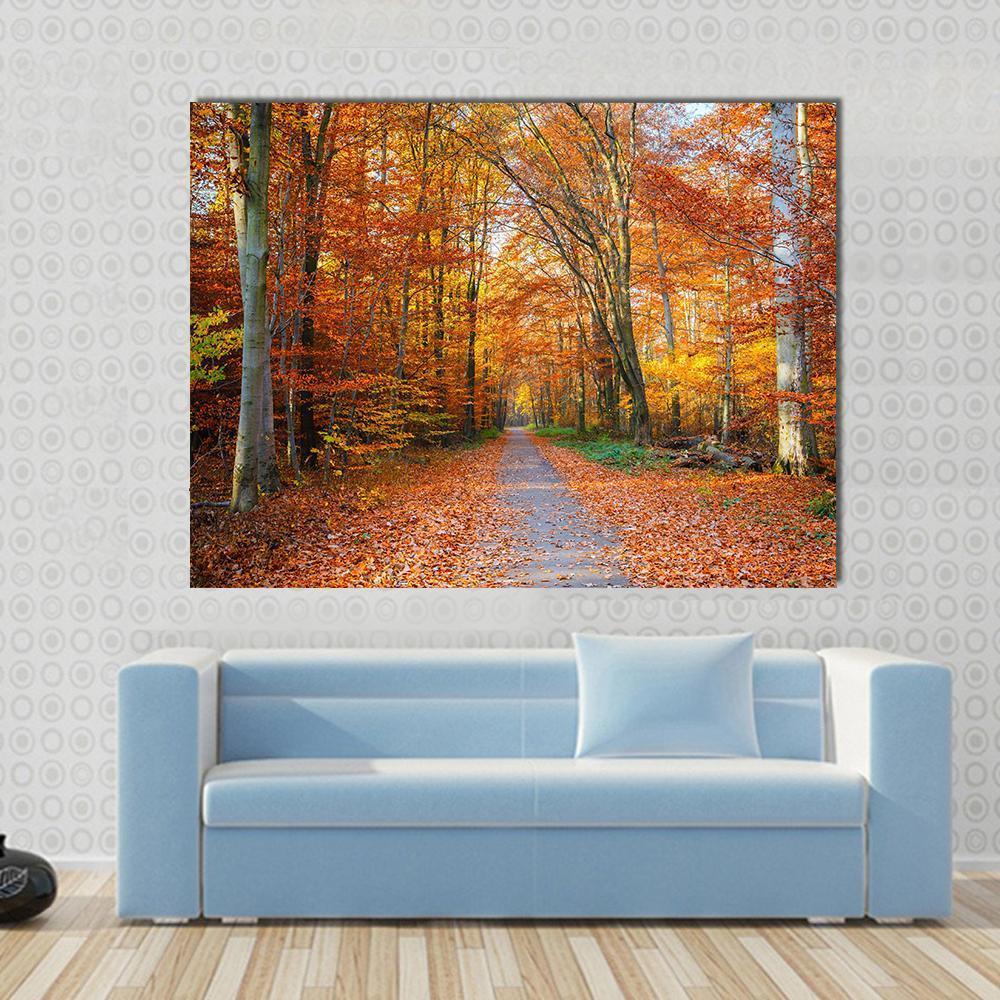 Pathway Through the Autumn Forest Canvas Wall Art in brown, orange and yellow, single panel hung on a wall