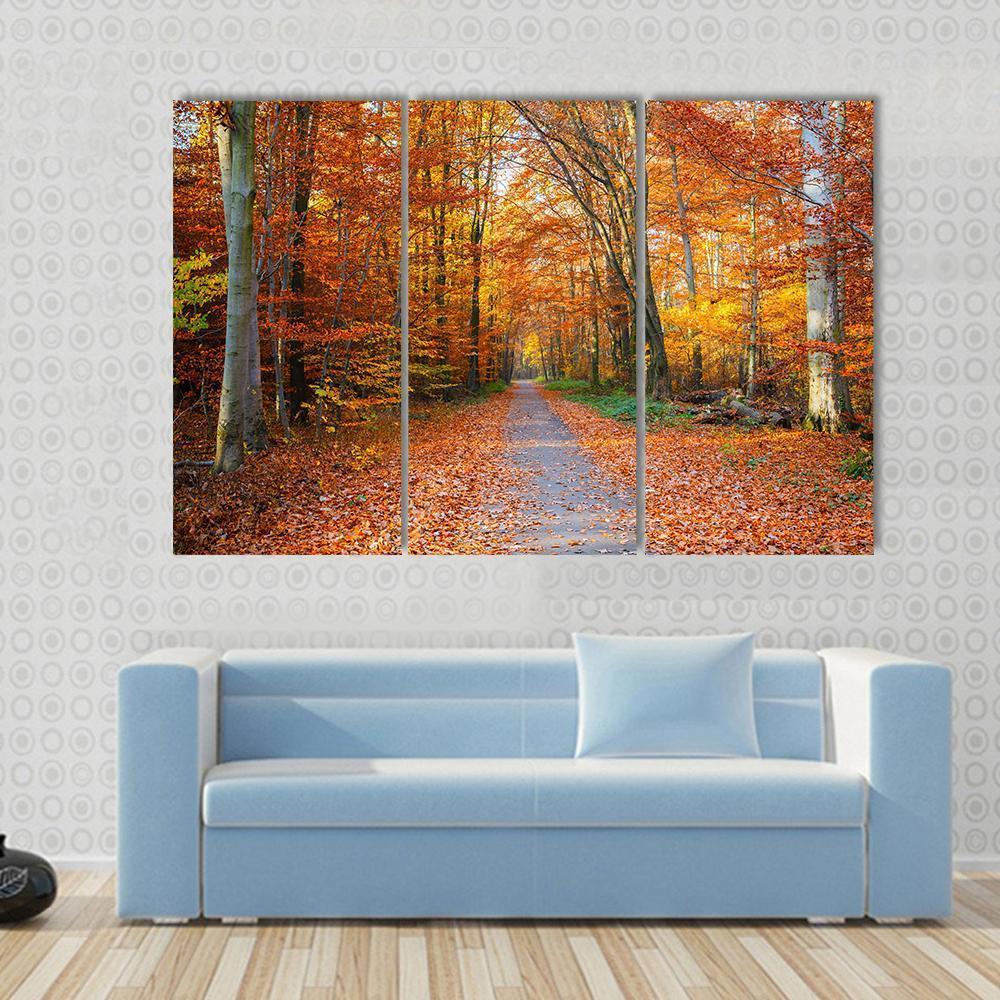 Pathway Through The Autumn Forest Canvas Wall Art-3 Horizontal-Gallery Wrap-37" x 24"-Tiaracle