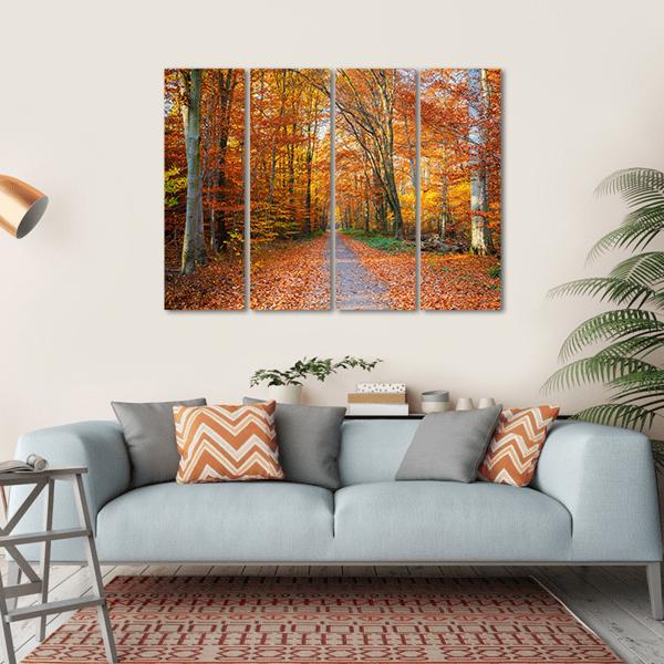 Pathway Through The Autumn Forest Canvas Wall Art-4 Horizontal-Gallery Wrap-34" x 24"-Tiaracle