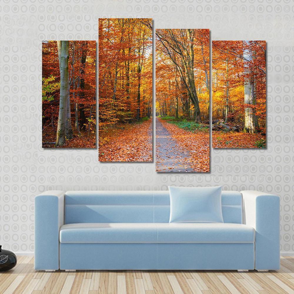 Pathway Through The Autumn Forest Canvas Wall Art-4 Pop-Gallery Wrap-50" x 32"-Tiaracle