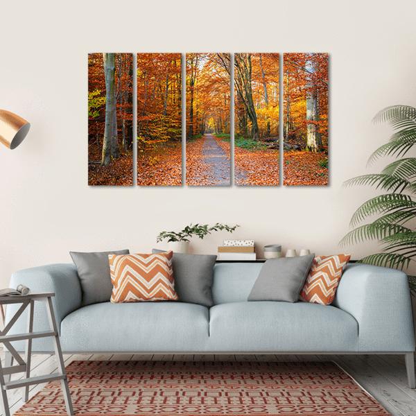Pathway Through The Autumn Forest Canvas Wall Art-5 Horizontal-Gallery Wrap-22" x 12"-Tiaracle