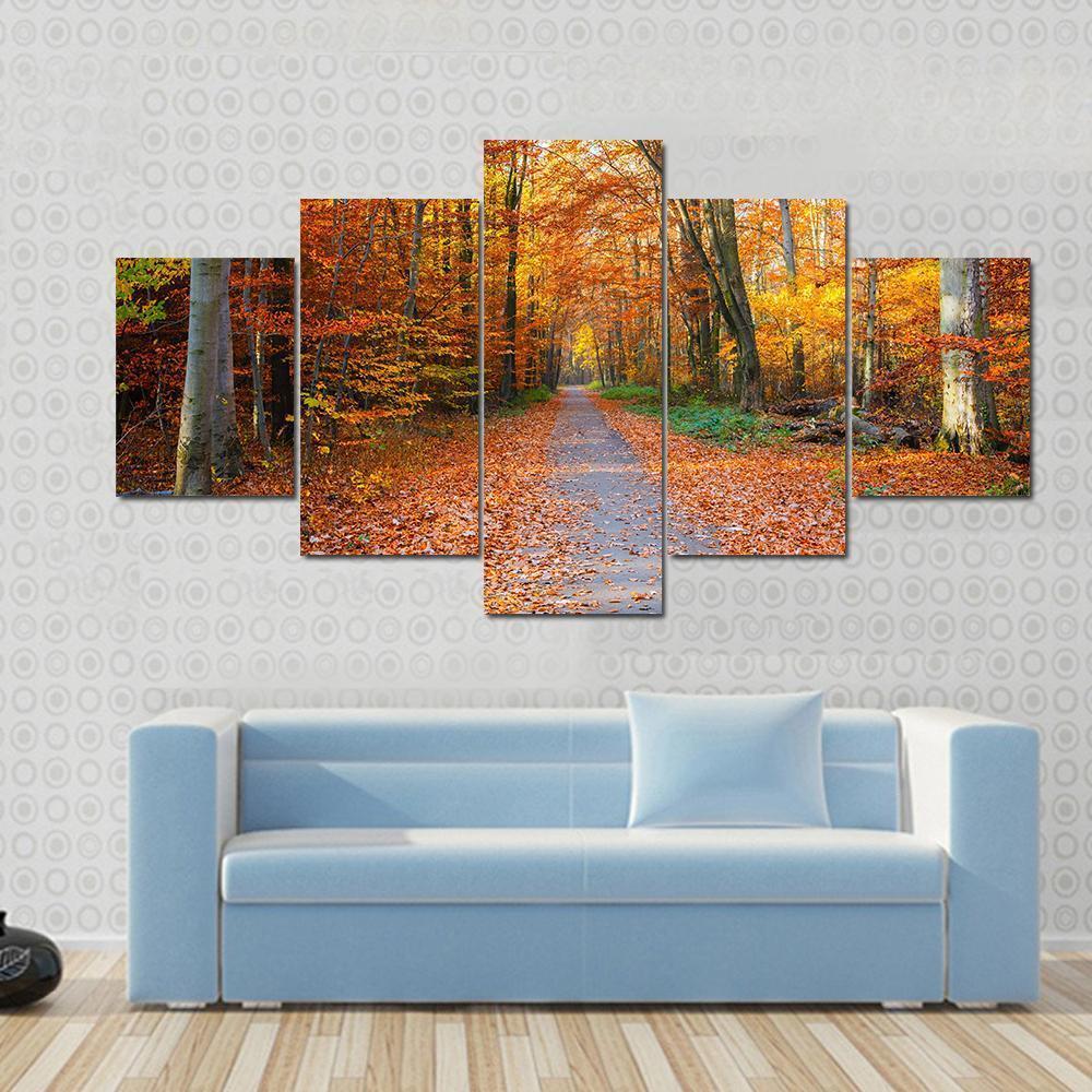 Pathway Through The Autumn Forest Canvas Wall Art-5 Star-Gallery Wrap-62" x 32"-Tiaracle