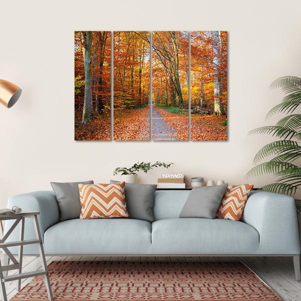 Pathway Through The Autumn Forest Canvas Wall Art-1 Piece-Gallery Wrap-36" x 24"-Tiaracle