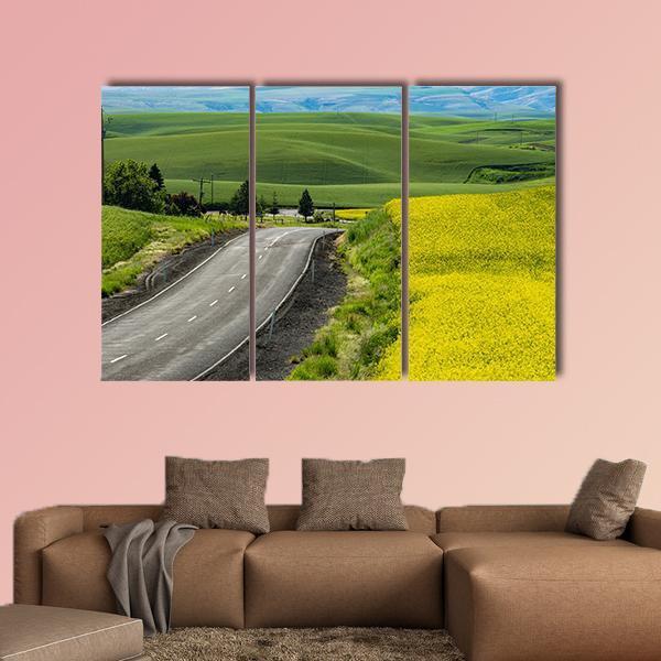 Paved Highway Passing Through Canola Fields Canvas Wall Art-3 Horizontal-Gallery Wrap-37" x 24"-Tiaracle
