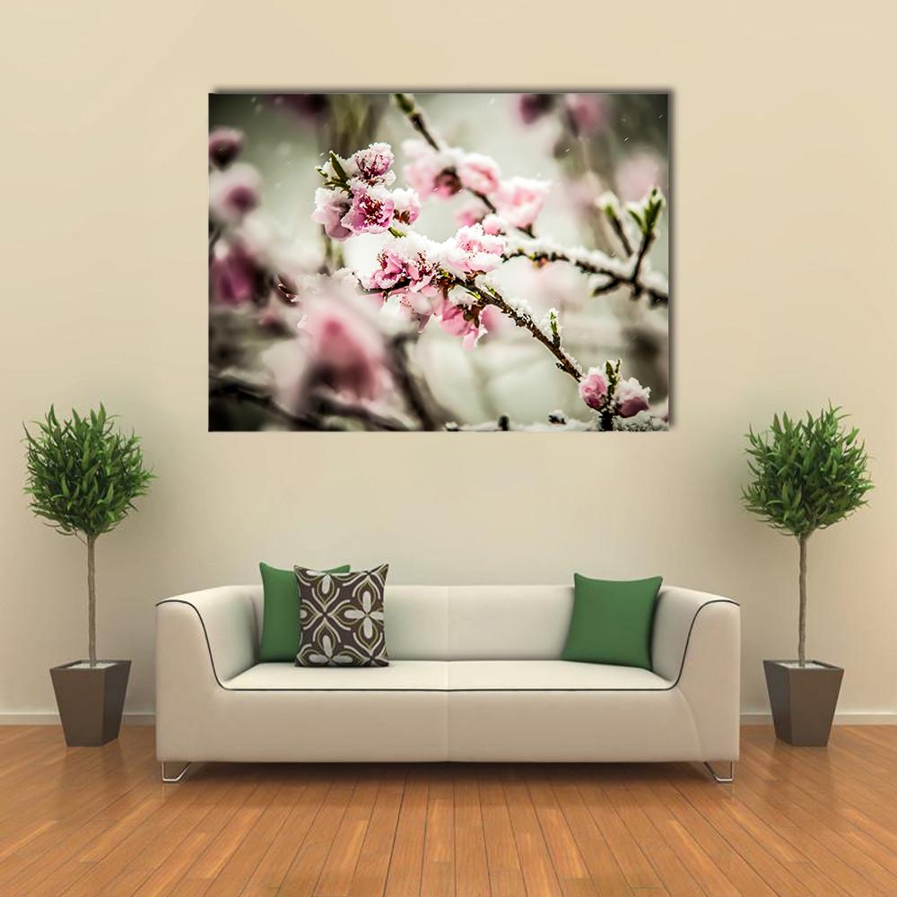 Snow-dusted Peach Blossoms Canvas Wall Art in white, gray and pink, single panel hung on a wall